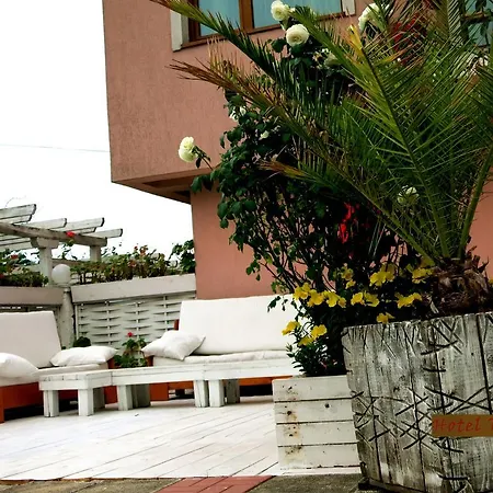 Tarfa Hotel 2*