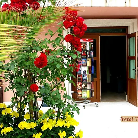 Hotel Tarfa 2*